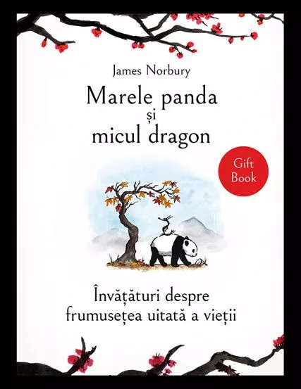 marele-panda-si-micul-dragon-james-norbur-bg3